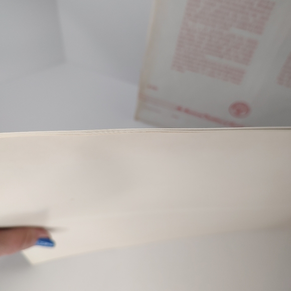 Scouting Through The Eyes Of Norman Rockwell Series 3001 - Picture 10 of 14